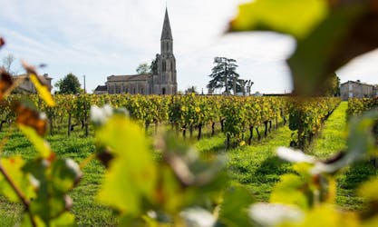 3 Bordeaux wine regions, full day wine tour with lunch from Bordeaux